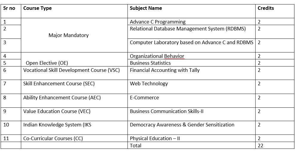 S. Y. B. B. A. C. A. Sem 2