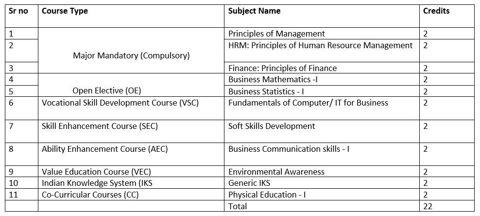 B.B.A. First year  (F.Y.) Sem 1